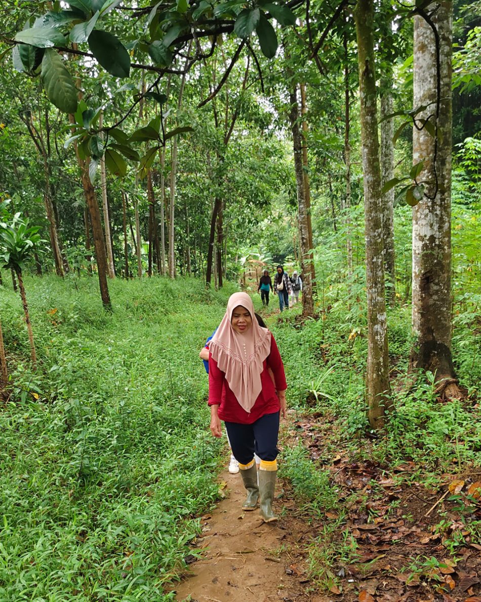 edAMANAT