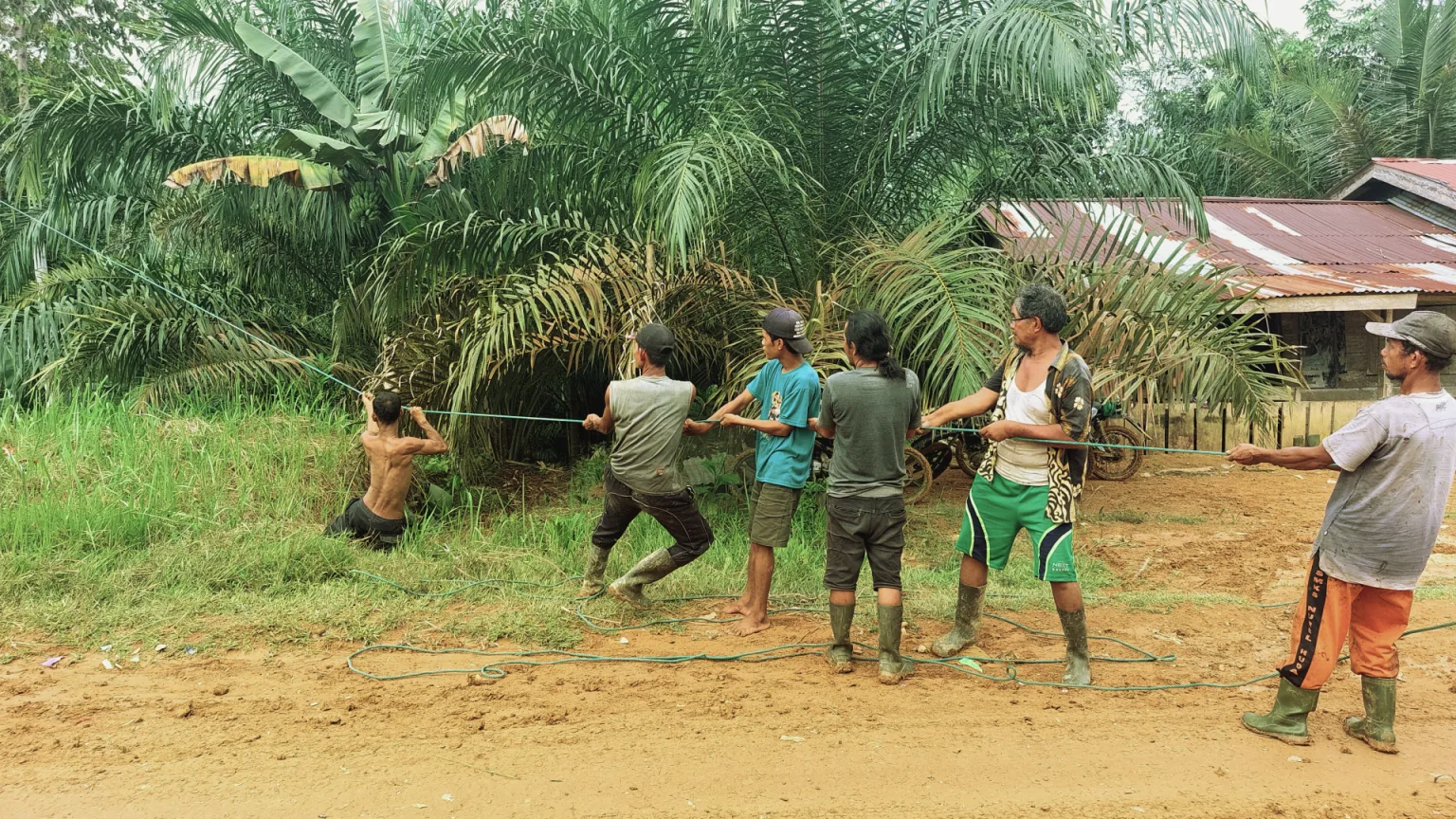 WALHI Karya Maju Social Forestry Business Group
