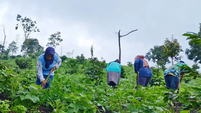 edIMG_20240310_114743