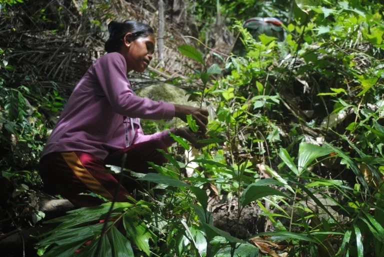 Seed Planting Action - LPHD Mantikole