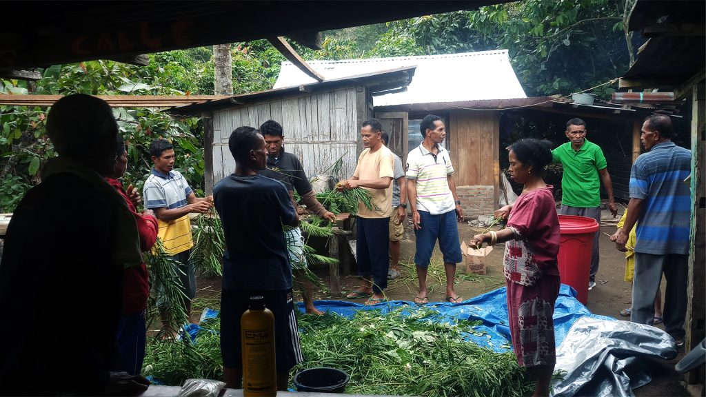 S2K1029 Kelompok Tani Sewu Bewa Kelompok Tani Ripi Walo 1024x576