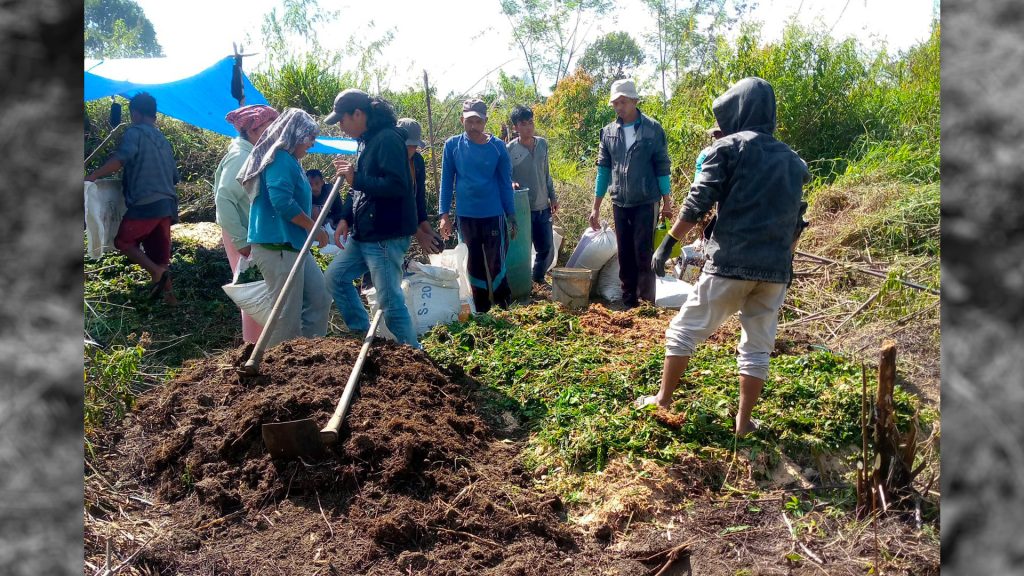 S2K1032 Masyarakat Adat Ompu Bolus Simanjuntak Proses Pembuatan Kompos Di MA Pop Op Boluskec Sipahutar Tapanuli Utara Sumut 08 1024x576