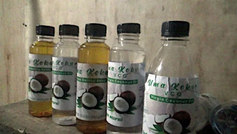 Uma Kokur Community Optimizes Economic Value of Coconut in Tanamanang Village