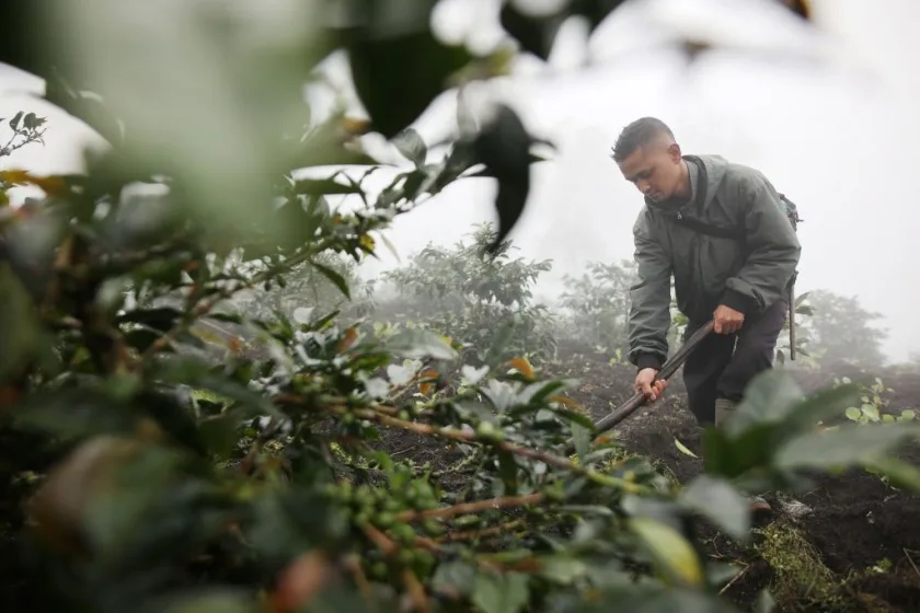 Walhi: Dana Nusantara and Young Farmers' Hopes in Climate Solutions