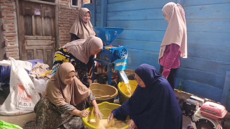 Sejumlah perempuan dari komunitas Masyarakat Adat Sendana, Majene, Sulawesi Barat, tampak sibuk mengolah limbah ikan tuing-tuing pada Kamis, 16 Januari 2025.