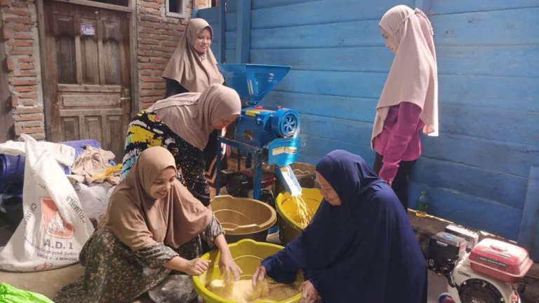 A number of women from the Sendana Indigenous Community, Majene, West Sulawesi, were seen busy processing tuing-tuing fish waste on Thursday, January 16, 2025.