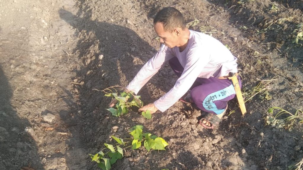 Lembaga Pengelola Hutan Desa Bulan Sakti 1024x576