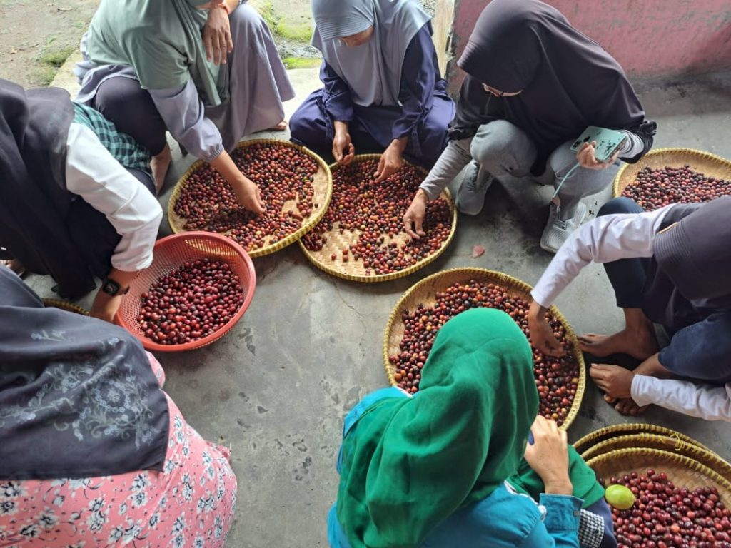 Pelatihan Pengolahan Kopi Petik Merah Dan Produk Turunan Desa Pungguk Meranti Kepahiang 13 1024x768