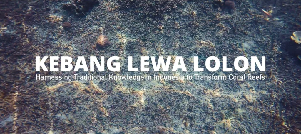 Marine Protection Based on Local Wisdom "Kebang Lewa Lolon"