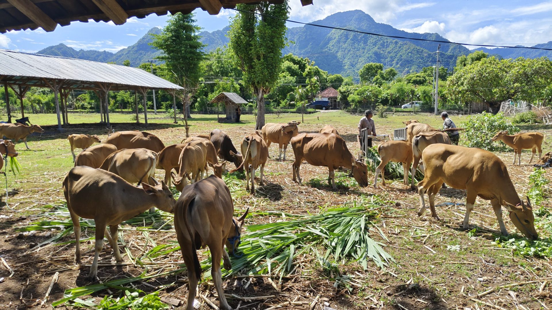 filter: 0; fileterIntensity: 0.0; filterMask: 0; brp_mask:0;
brp_del_th:null;
brp_del_sen:null;
delta:null;
module: photo;hw-remosaic: false;touch: (-1.0, -1.0);sceneMode: 2621440;cct_value: 0;AI_Scene: (-1, -1);aec_lux: 0.0;aec_lux_index: 0;albedo:  ;confidence:  ;motionLevel: -1;weatherinfo: null;temperature: 33;