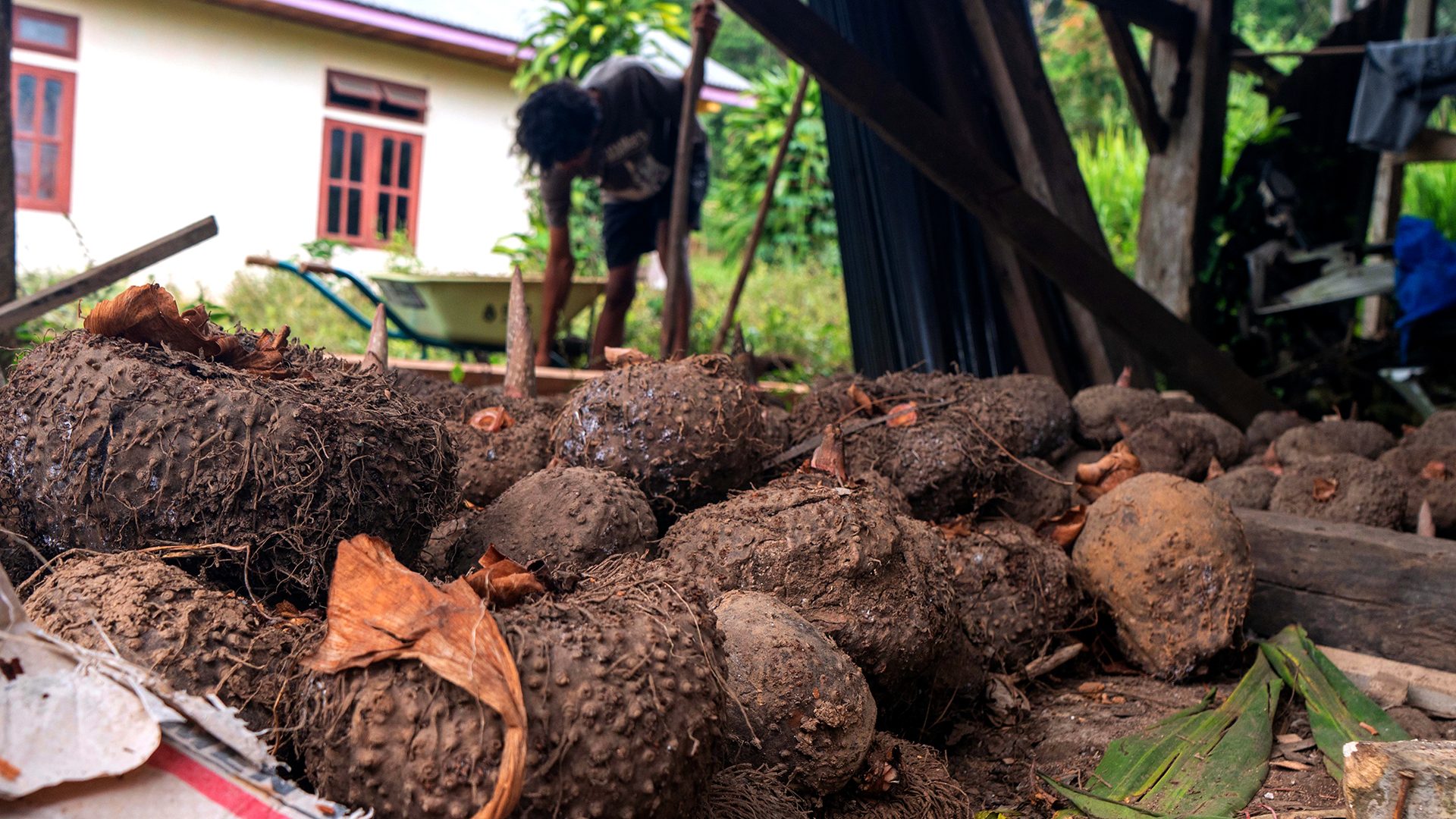 NF25_INF_DATA_KOM_S3073W1_ATM_EKONOMI-01 NF25_INF_DATA_KOM_S3073W1_ATM_EKONOMI-01