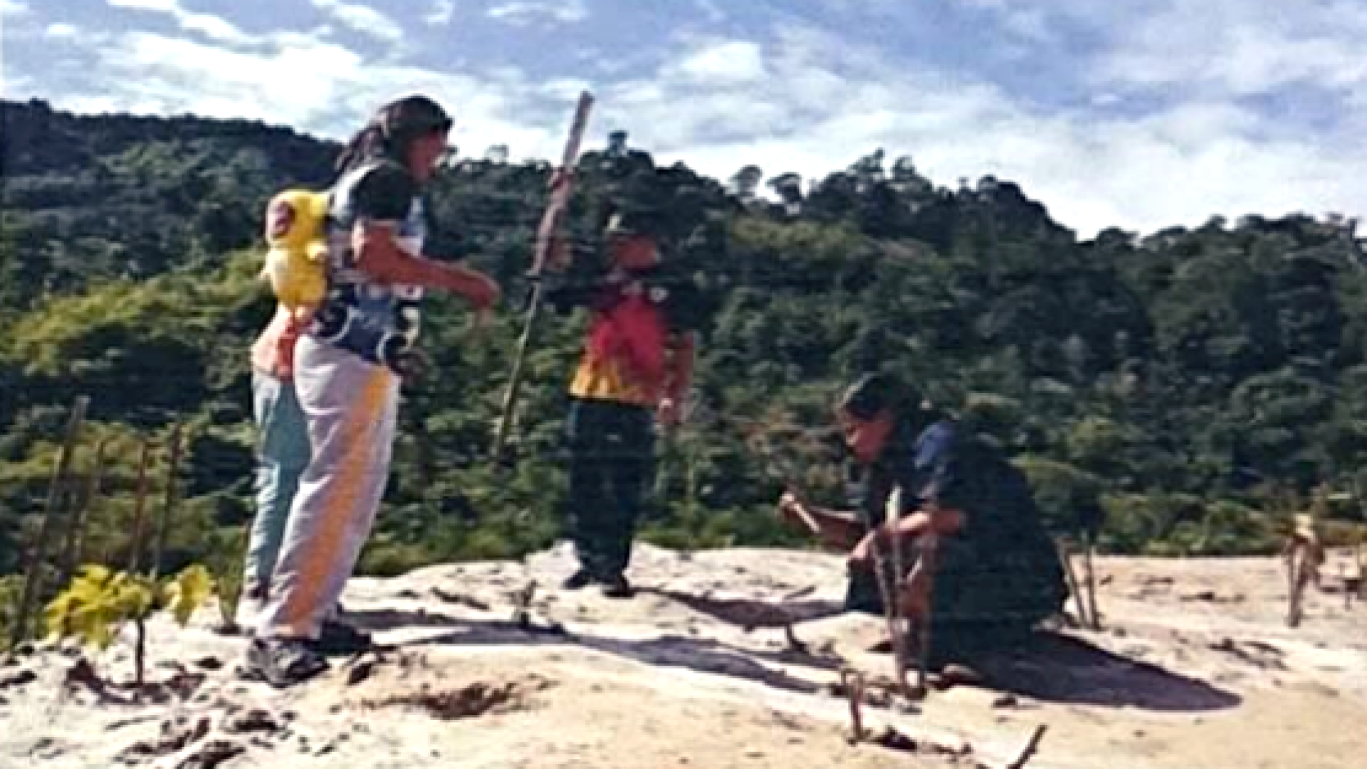 NF25_INF_DATA_KOM_S4022-A1_KMA-SEMENDE-ULU_PENANAMAN (4)