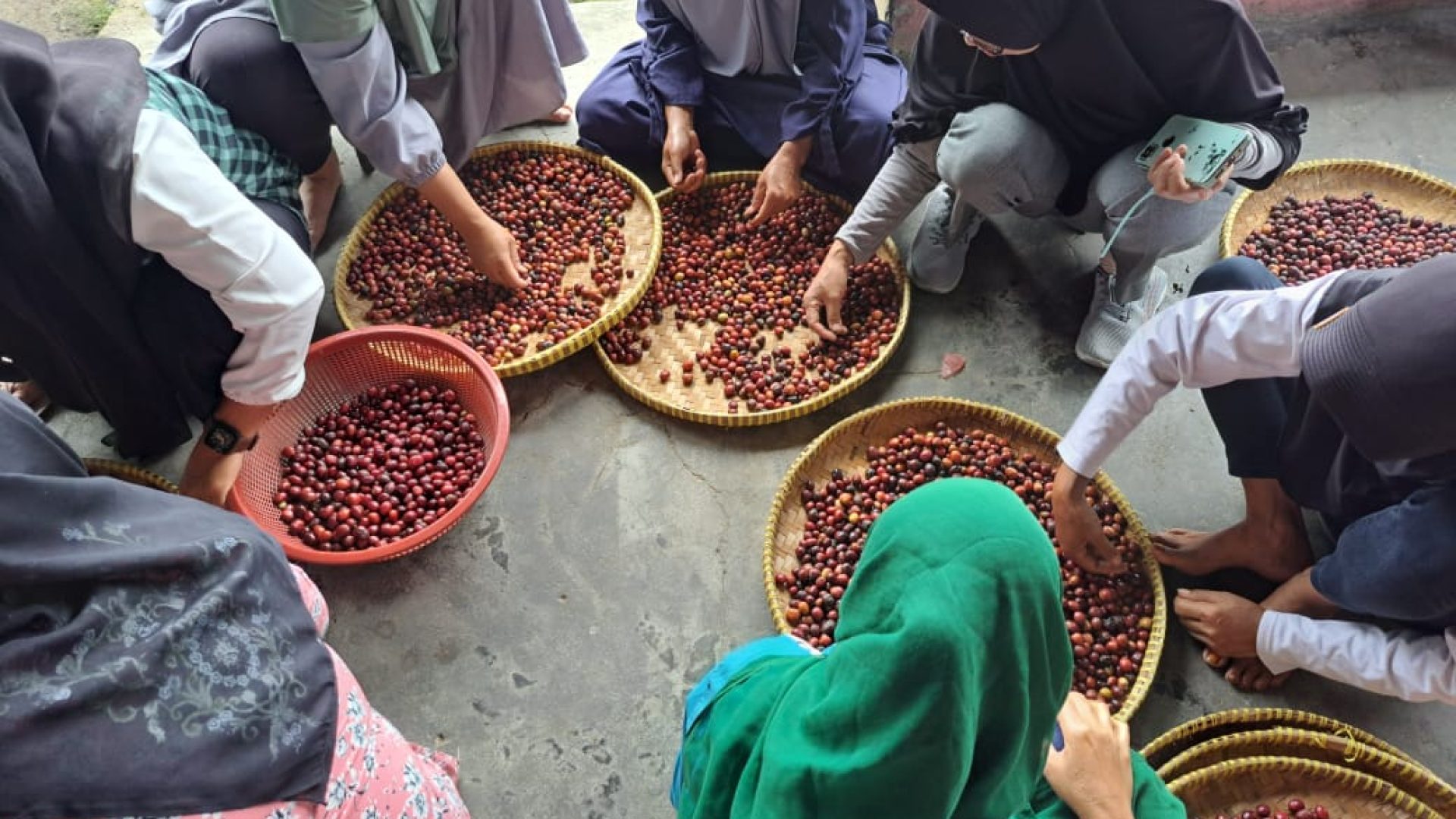 Pelatihan Pengolahan Kopi Petik Merah dan Produk turunan Desa Pungguk Meranti Kepahiang (13)