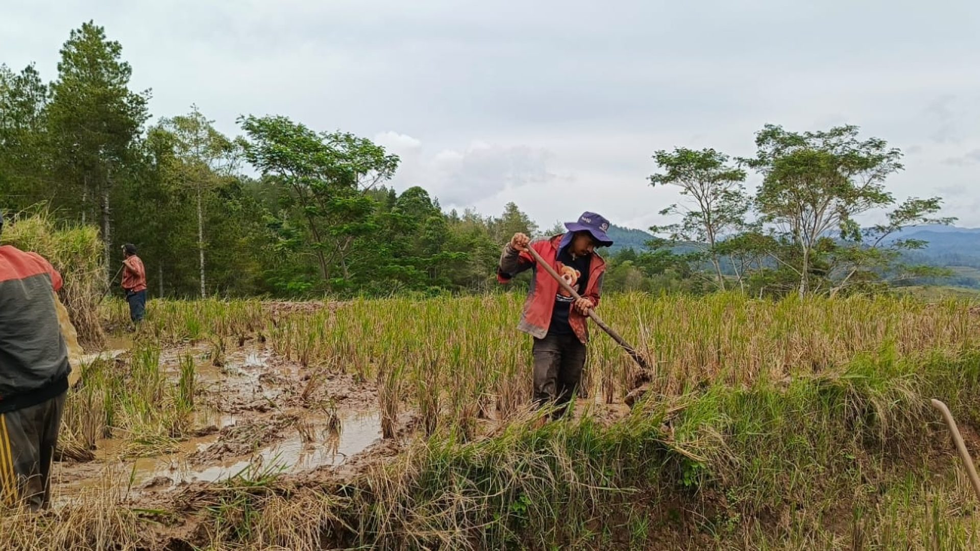 Pengelolaan lahan_02